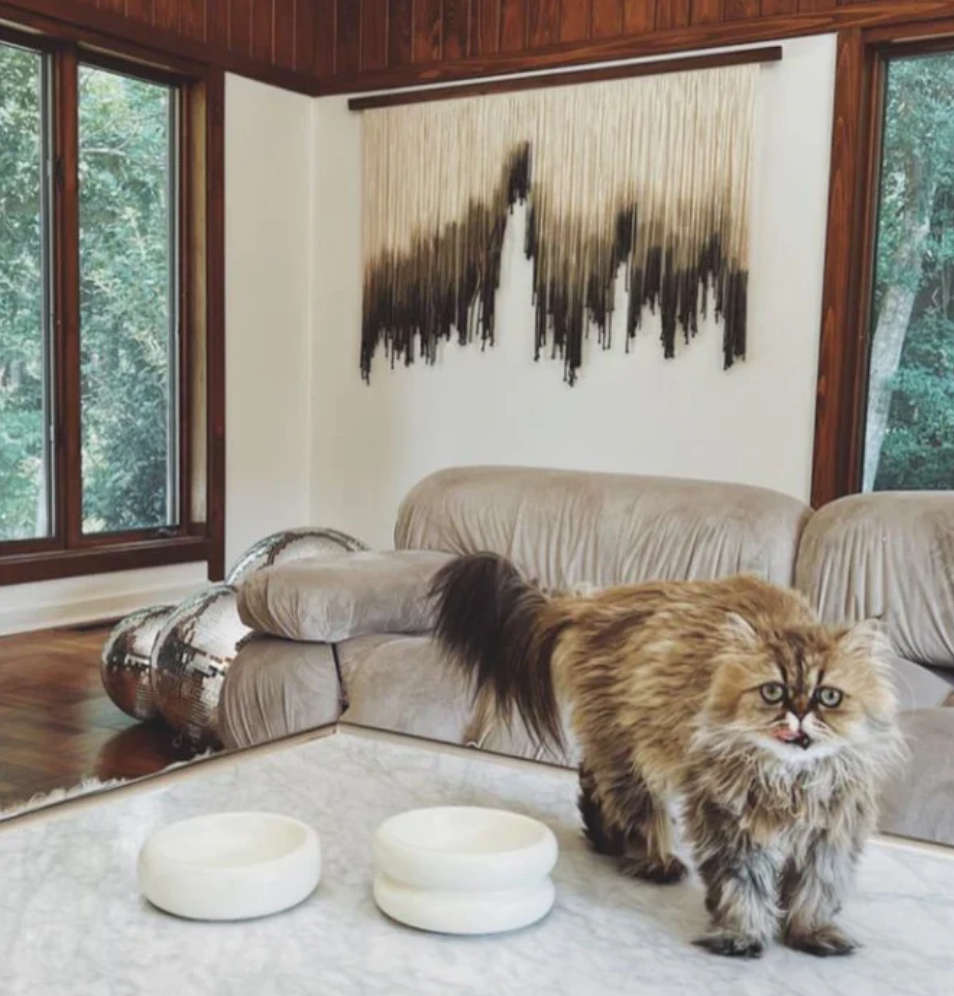 Halo Elevated Cat Food Bowl