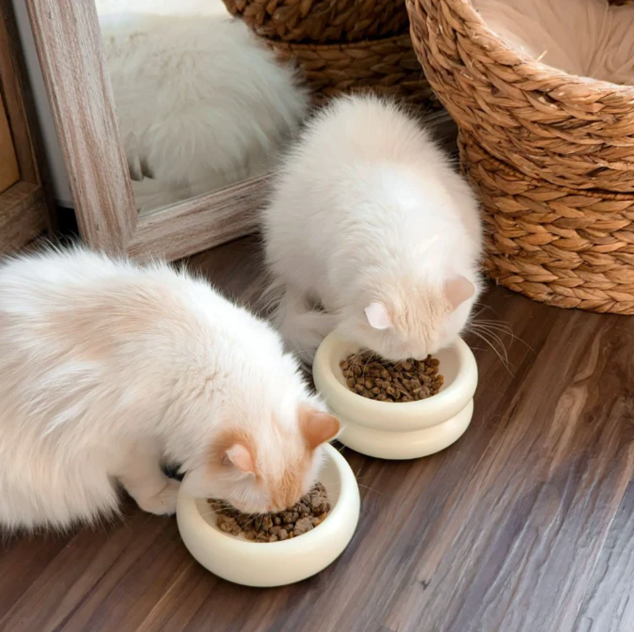 Halo Modern Cat Food Bowl