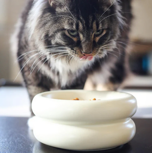 Halo Elevated Cat Food Bowl