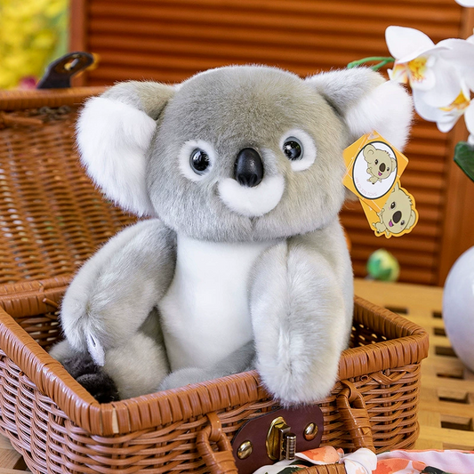 Adorable Koala Plush Toy